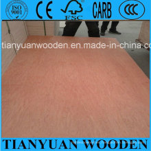 Venta caliente 3mm 6mm 9mm 12mm 15mm 18mm madera contrachapada comercial